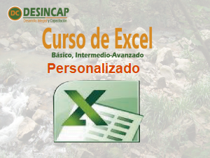 img_curso_Excel_personalizado-300x225